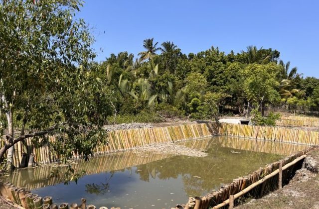 Puli Fish Farming