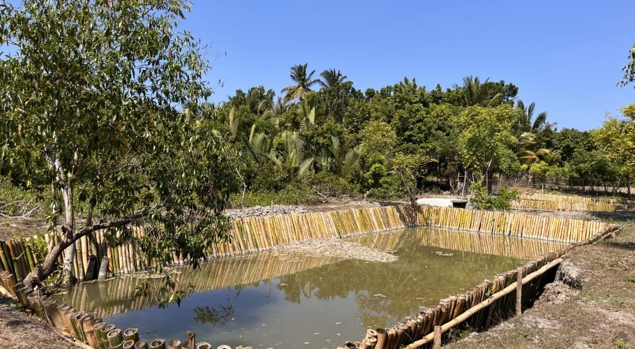 Several rectangular fish ponds with bamboo fencing are visible, surrounded by lush green trees under a clear blue sky at a fish farm in Sumba.