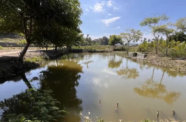 Puli Fish Farming