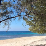 A tranquil white sand beach with clear turquoise waters under a bright blue sky, framed by lush green trees providing natural shade.
