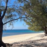 A tranquil white sand beach with clear turquoise waters under a bright blue sky, framed by lush green trees providing natural shade.