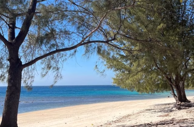 A tranquil white sand beach with clear turquoise waters under a bright blue sky, framed by lush green trees providing natural shade.