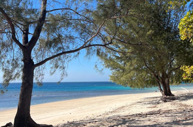 A tranquil white sand beach with clear turquoise waters under a bright blue sky, framed by lush green trees providing natural shade.