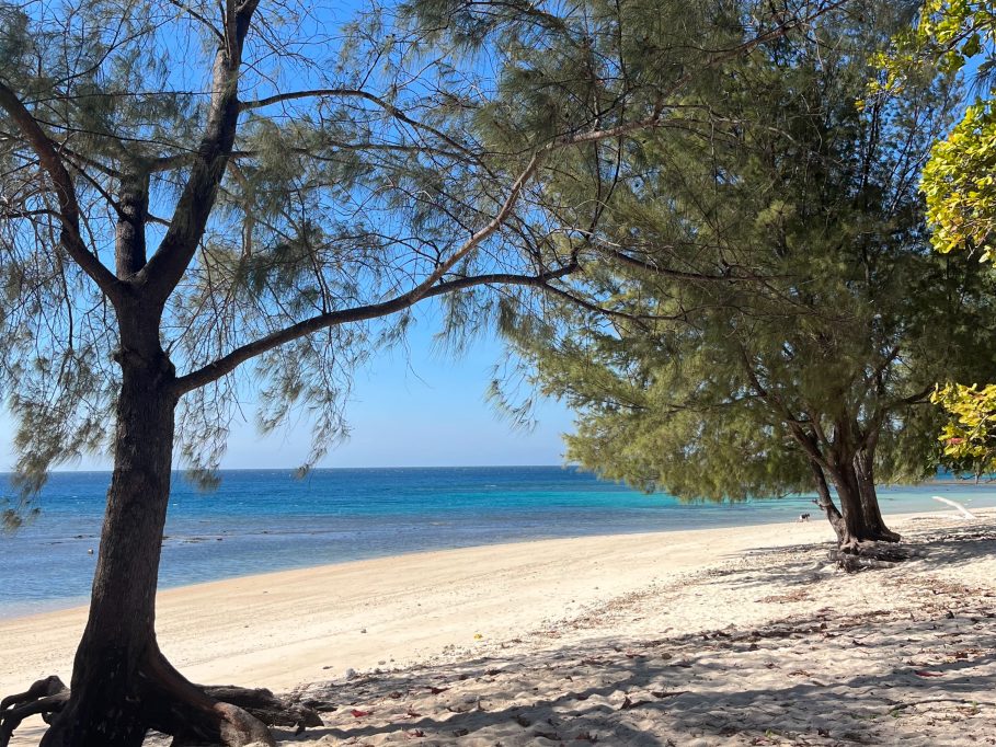 A tranquil white sand beach with clear turquoise waters under a bright blue sky, framed by lush green trees providing natural shade.