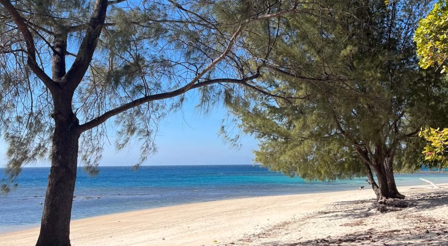 A tranquil white sand beach with clear turquoise waters under a bright blue sky, framed by lush green trees providing natural shade.