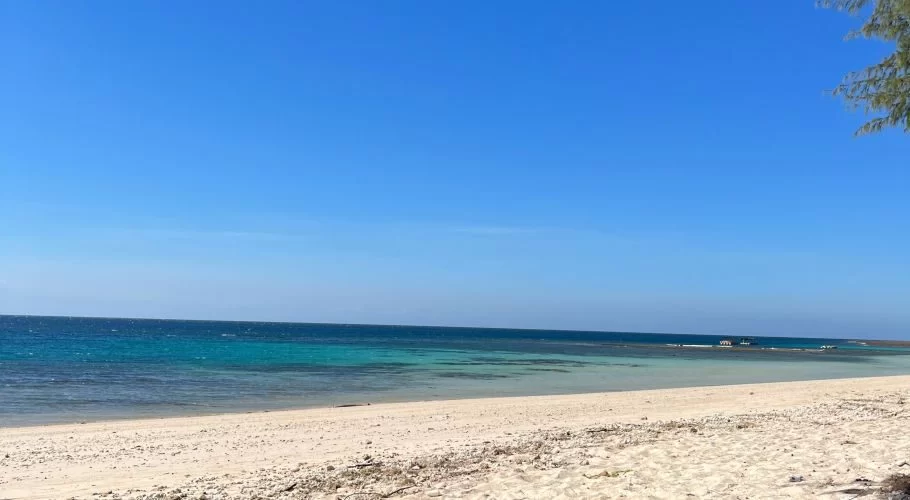 A pristine white sand beach stretches towards clear turquoise and deep blue ocean waters under a bright blue sky, with tree branches in the upper right.