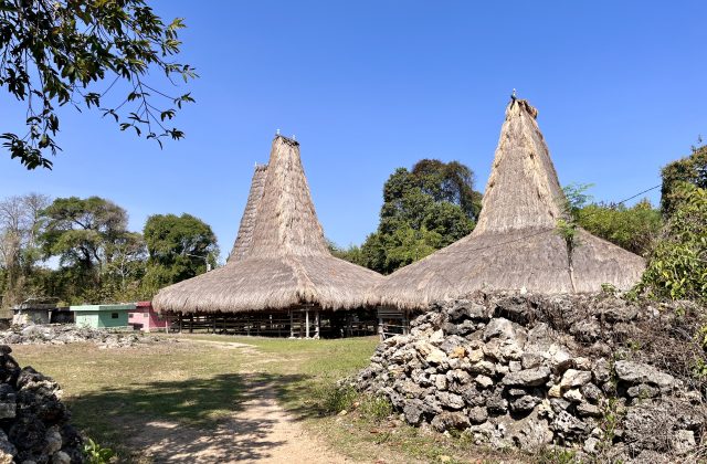 Two traditional Sumbanese houses with tall thatched roofs stand in a grassy clearing at Rangga Baki Village under a clear blue sky.