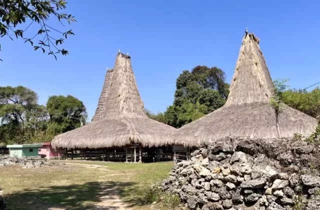 Two traditional Sumbanese houses with tall thatched roofs stand in a grassy clearing at Rangga Baki Village under a clear blue sky.