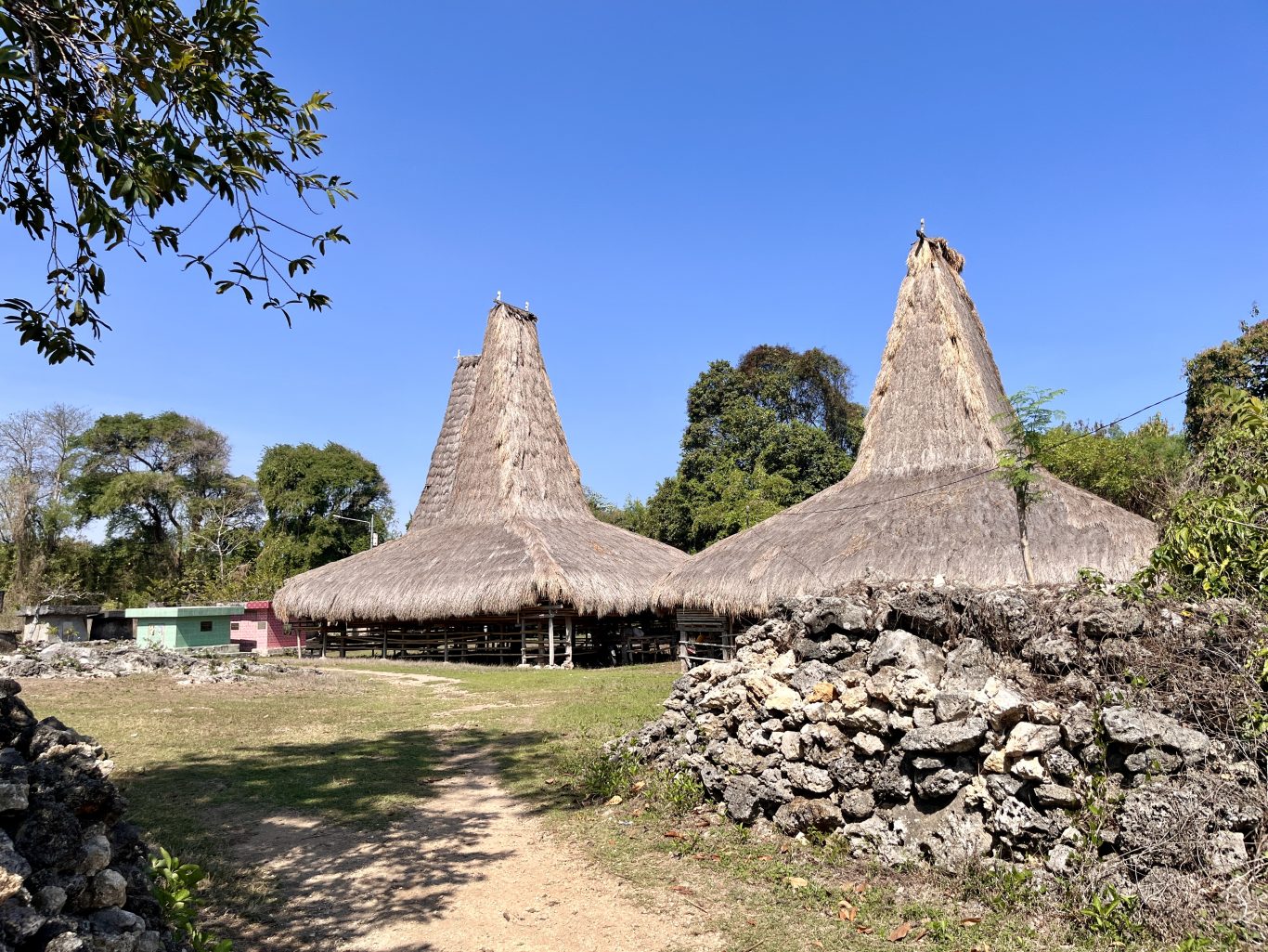 Two traditional Sumbanese houses with tall thatched roofs stand in a grassy clearing at Rangga Baki Village under a clear blue sky.