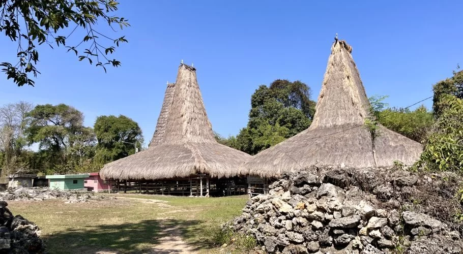 Two traditional Sumbanese houses with tall thatched roofs stand in a grassy clearing at Rangga Baki Village under a clear blue sky.