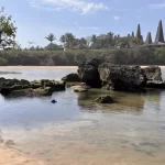 A serene view of Ratenggaro Beach with light brown sand, clear shallow water, dark rocks, and traditional Sumba houses with tall roofs on a distant green bank under a blue sky.
