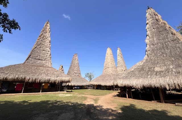 Visible are several traditional Sumba houses with distinctive tall, conical thatched roofs, arranged around a grassy courtyard under a clear blue sky.