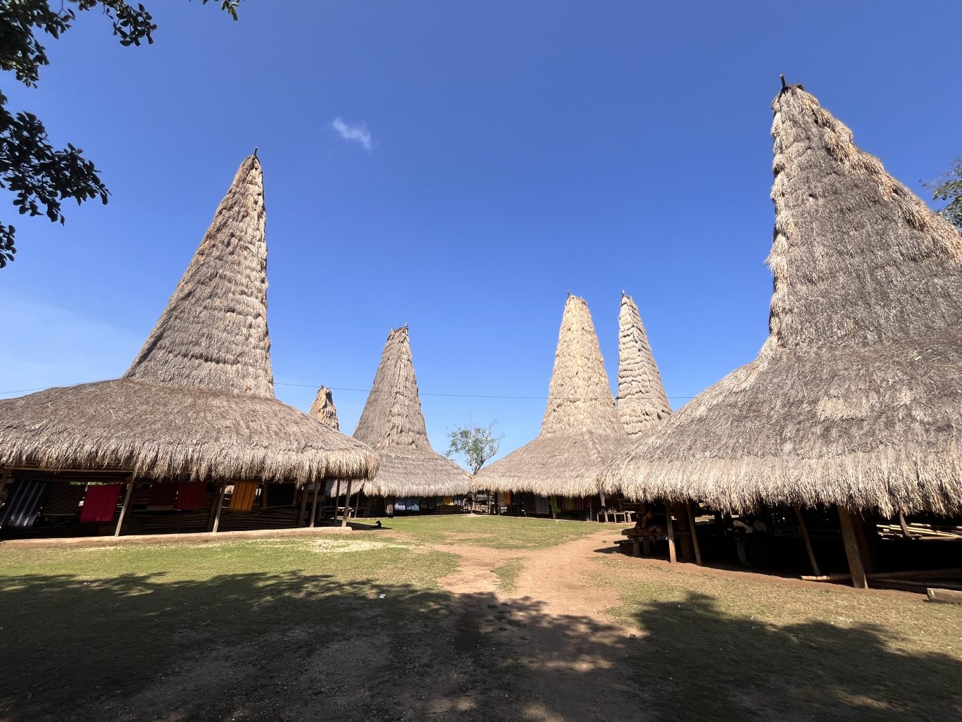 Visible are several traditional Sumba houses with distinctive tall, conical thatched roofs, arranged around a grassy courtyard under a clear blue sky.