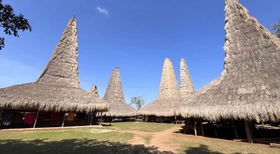 Visible are several traditional Sumba houses with distinctive tall, conical thatched roofs, arranged around a grassy courtyard under a clear blue sky.