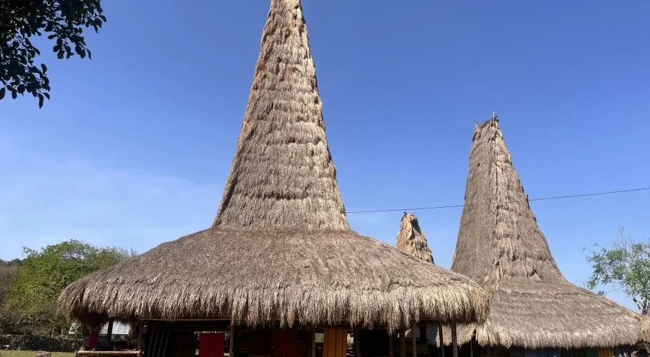 Two traditional Sumba houses with tall, conical thatched roofs stand under a clear blue sky in Ratenggaro Village.