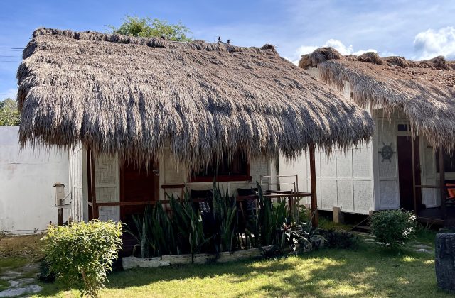 Two traditional Sumba resort bungalows with thick thatched roofs and light-colored woven walls stand under a blue sky, surrounded by green plants.