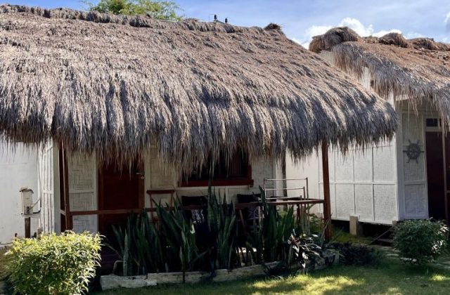 Two traditional Sumba resort bungalows with thick thatched roofs and light-colored woven walls stand under a blue sky, surrounded by green plants.