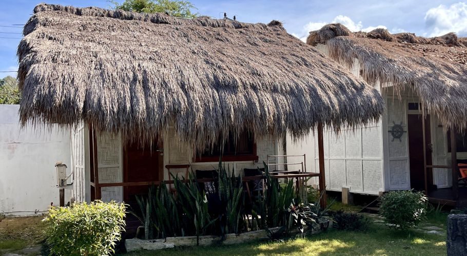 Two traditional Sumba resort bungalows with thick thatched roofs and light-colored woven walls stand under a blue sky, surrounded by green plants.