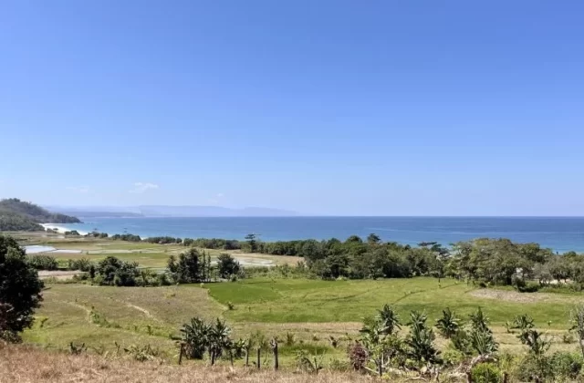 Lush green rice fields and dry grass lead to a white sandy beach and blue ocean under a clear sky, with distant hills.