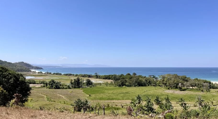 Lush green rice fields and dry grass lead to a white sandy beach and blue ocean under a clear sky, with distant hills.