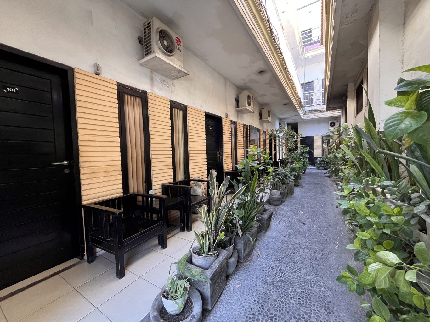 A narrow outdoor corridor at Sacca Residence homestay features black doors, light brown walls, green potted plants, and wooden benches.