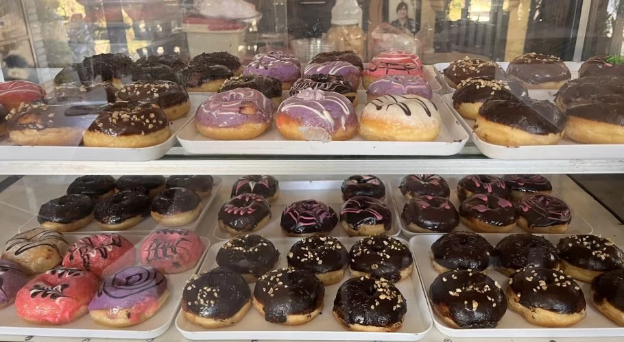 A glass display case holds numerous glazed donuts on white trays, featuring chocolate, purple, pink, and white icing, some with nuts or swirls.