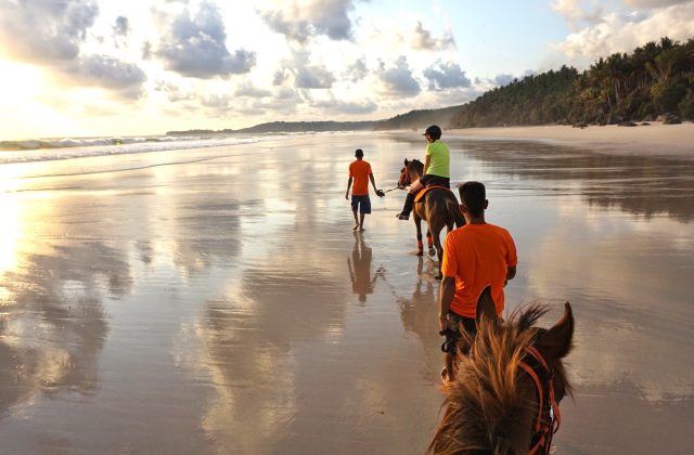 Three people and two horses walk along a wide, reflective beach at sunset, with palm trees lining the shore and waves in the distance.
