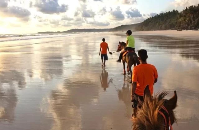 Three people and two horses walk along a wide, reflective beach at sunset, with palm trees lining the shore and waves in the distance.