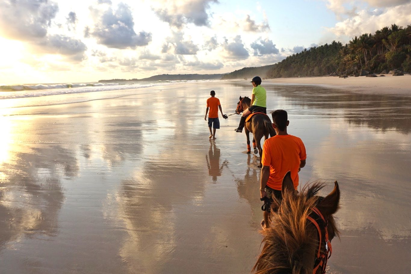 Three people and two horses walk along a wide, reflective beach at sunset, with palm trees lining the shore and waves in the distance.