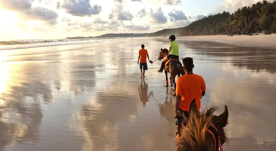 Three people and two horses walk along a wide, reflective beach at sunset, with palm trees lining the shore and waves in the distance.