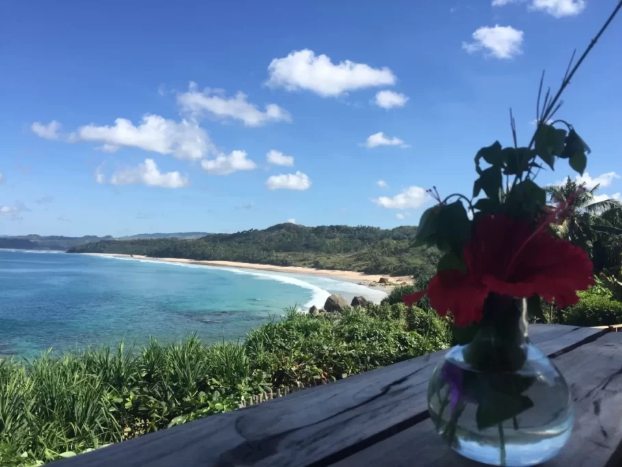 A tropical beach with turquoise ocean, white sand, and green hills under a blue sky. A red hibiscus in a vase is on a wooden table in the foreground.