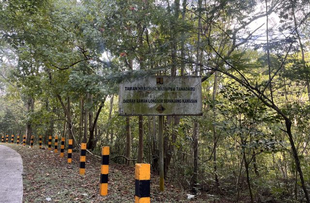 A weathered sign for Manupeu Tanadaru National Park stands amidst dense green forest, with a paved road and yellow and black striped posts on the left.