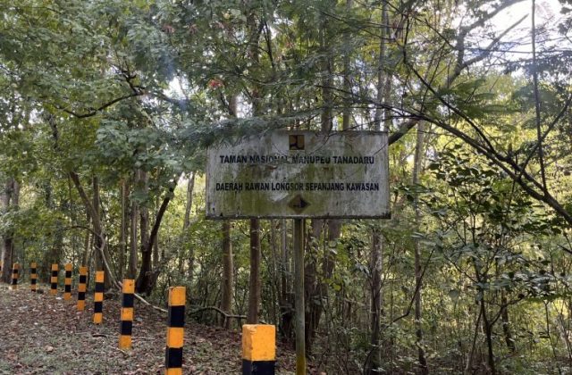 A weathered sign for Manupeu Tanadaru National Park stands amidst dense green forest, with a paved road and yellow and black striped posts on the left.