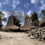 Two traditional Sumba "Menara" houses with towering thatched roofs stand under a blue sky with white clouds, surrounded by trees and scattered stones.