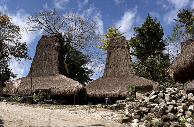 Two traditional Sumba "Menara" houses with towering thatched roofs stand under a blue sky with white clouds, surrounded by trees and scattered stones.