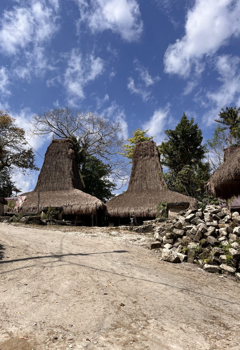 Two traditional Sumba "Menara" houses with towering thatched roofs stand under a blue sky with white clouds, surrounded by trees and scattered stones.