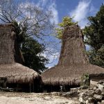 Two traditional Sumba "Menara" houses with towering thatched roofs stand under a blue sky with white clouds, surrounded by trees and scattered stones.