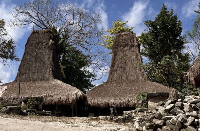 Two traditional Sumba "Menara" houses with towering thatched roofs stand under a blue sky with white clouds, surrounded by trees and scattered stones.