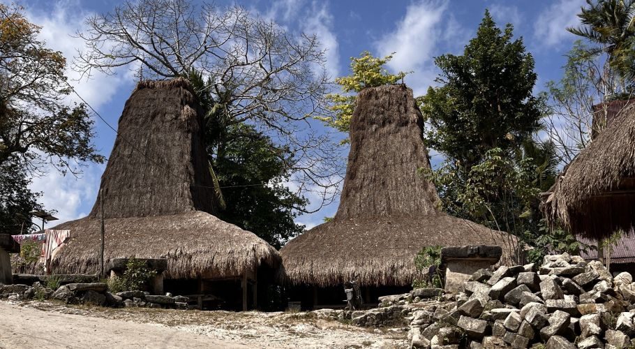 Two traditional Sumba "Menara" houses with towering thatched roofs stand under a blue sky with white clouds, surrounded by trees and scattered stones.
