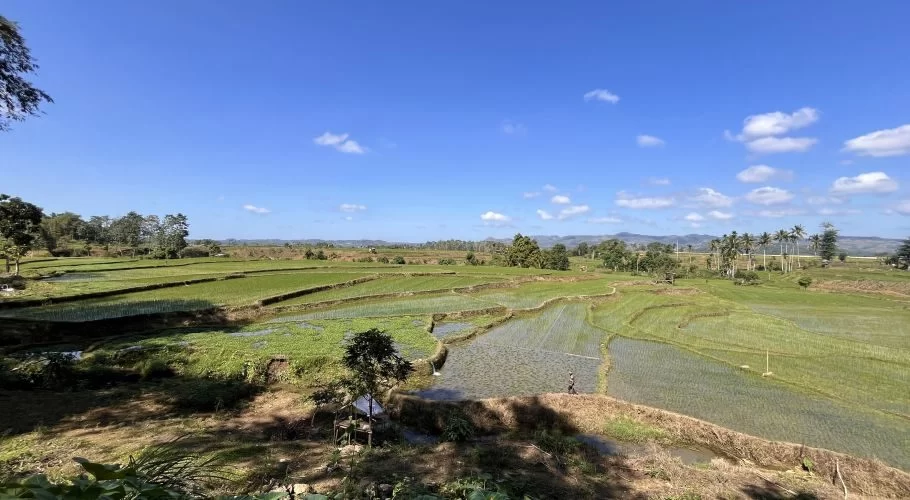 Visible are vast, terraced green rice fields, some flooded, under a bright blue sky with white clouds, with distant trees and hills.