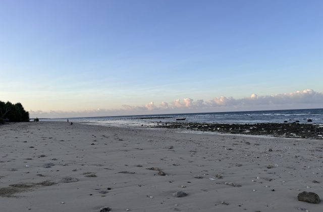 A wide, light-sandy beach stretches towards a calm blue ocean with a small boat, bordered by dark green trees and a clear sky with scattered clouds.