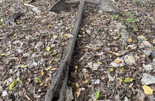 A dark, weathered, centuries-old anchor lies partially visible on the ground, surrounded by dry leaves, small rocks, and green sprouts.