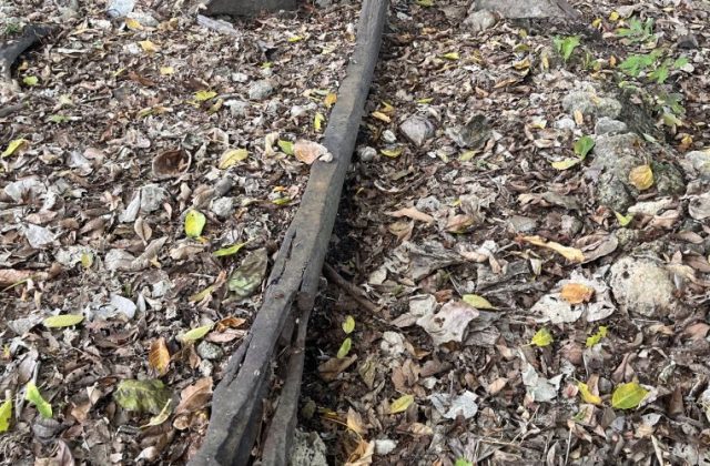 A dark, weathered, centuries-old anchor lies partially visible on the ground, surrounded by dry leaves, small rocks, and green sprouts.