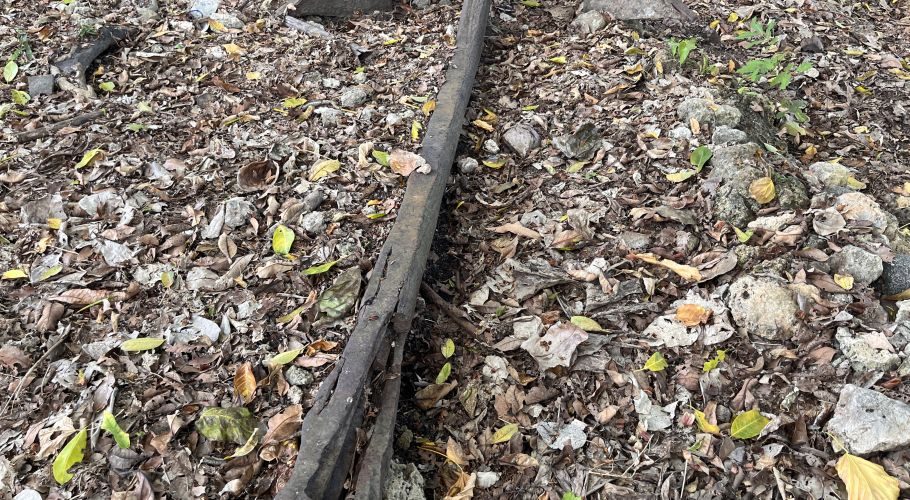 A dark, weathered, centuries-old anchor lies partially visible on the ground, surrounded by dry leaves, small rocks, and green sprouts.