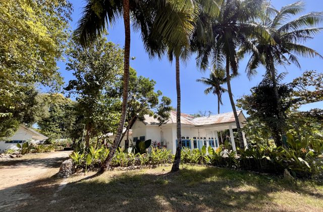 A white guesthouse building with a rusty metal roof and blue shutters is nestled among tall palm trees and lush green plants under a clear blue sky.