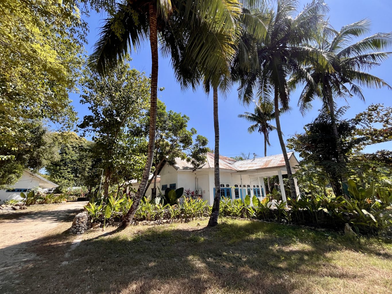 A white guesthouse building with a rusty metal roof and blue shutters is nestled among tall palm trees and lush green plants under a clear blue sky.