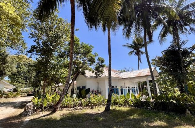 A white guesthouse building with a rusty metal roof and blue shutters is nestled among tall palm trees and lush green plants under a clear blue sky.