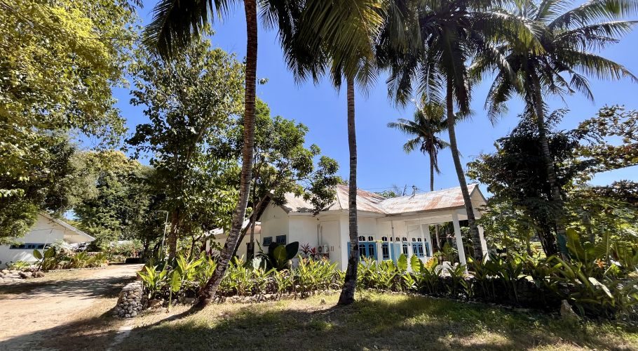 A white guesthouse building with a rusty metal roof and blue shutters is nestled among tall palm trees and lush green plants under a clear blue sky.