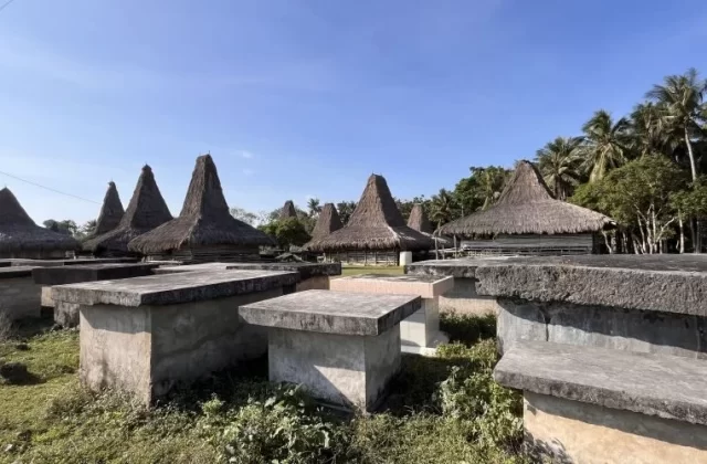 Several traditional Sumbanese houses with tall, conical thatched roofs stand among ancient stone tombs and green grass under a clear blue sky.