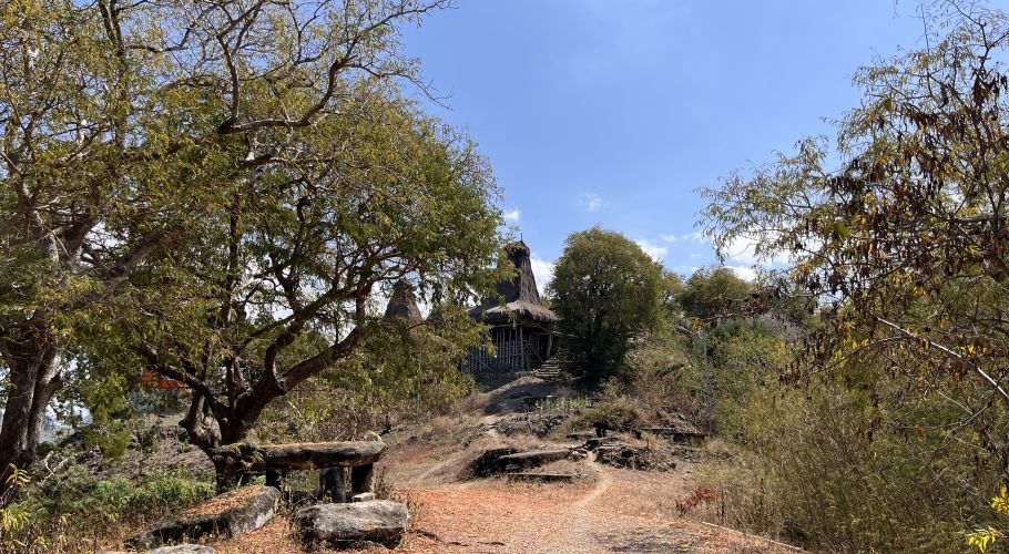 A dirt path winds uphill towards traditional Sumba houses with tall thatched roofs, surrounded by green and dry trees under a clear blue sky.